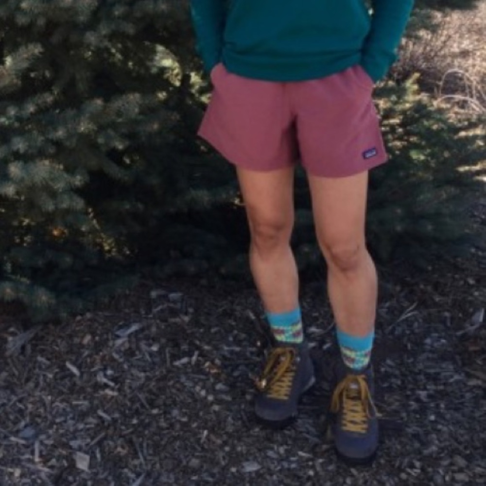 ISO BUYING PATAGONIA BAGGIES SIZE MEDIUM